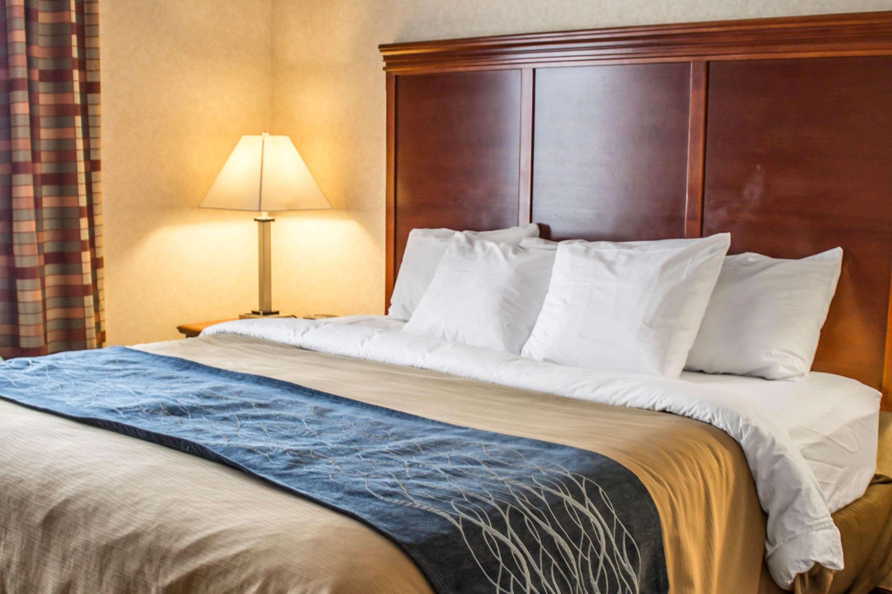 Comfort Inn & Suites Kent - University Area Eksteriør billede